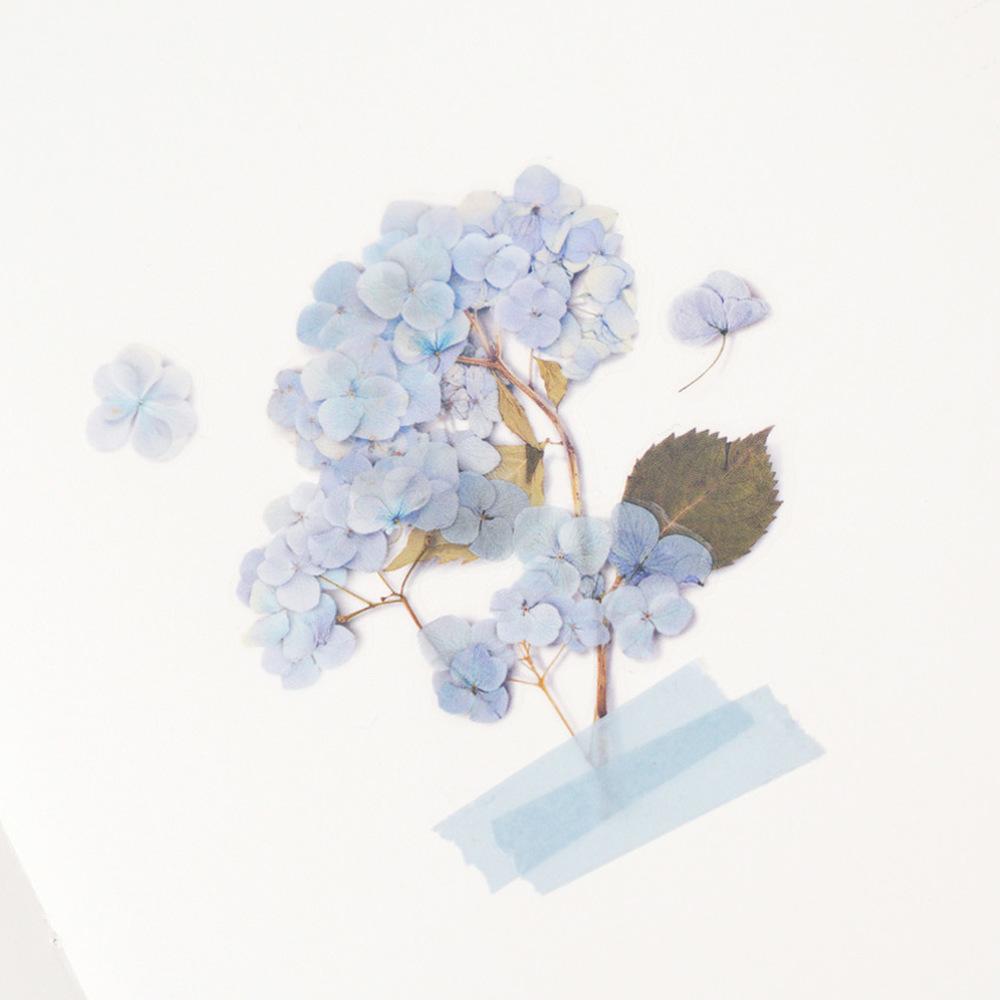 Big Leaf Hydrangea - Pressed Flower Sticker