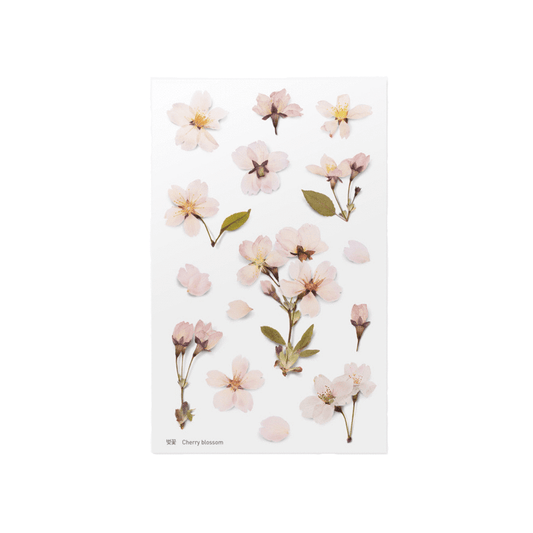 Cherry Blossom - Pressed Flower Sticker