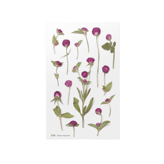 Globe Amaranth - Pressed Flower Sticker