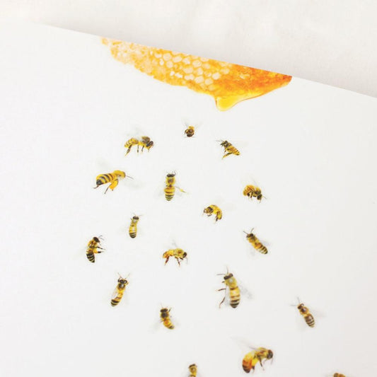 Honeybee - Nature Sticker